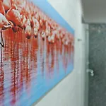 Апартаменты Flamingo Luxury Ajpsardinia *