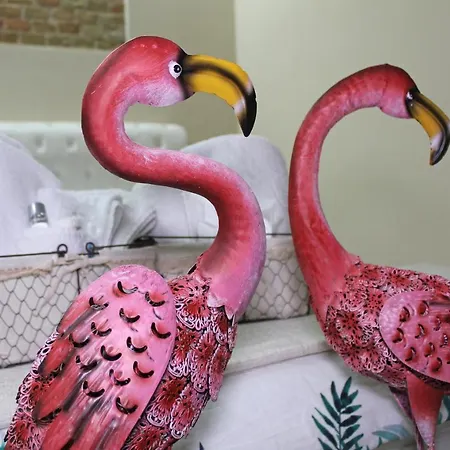 Flamingo Luxury Ajpsardinia Cagliari