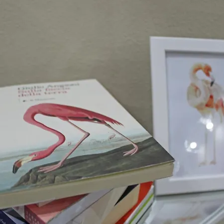 Flamingo Luxury Ajpsardinia كالياري