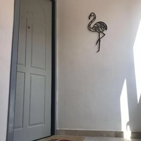 Flamingo Luxury Ajpsardinia شقة كالياري