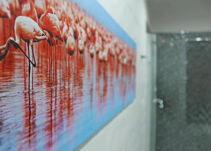 Apartmán Flamingo Luxury Ajpsardinia *
