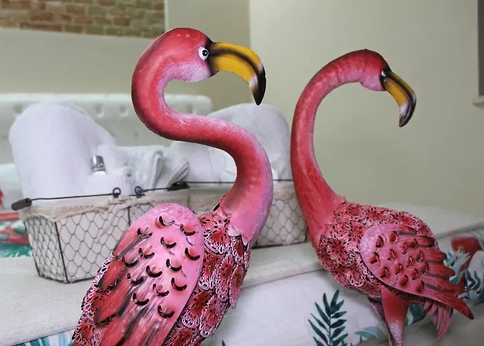 Flamingo Luxury Ajpsardinia Cagliari